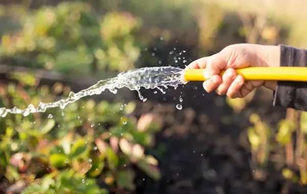 تصویر 3 از شیلنگ پلاستیکی آبیاری ضد ترک خوردگی و پوسیدگی طولانی